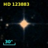 HD 123883