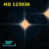 HD 123036