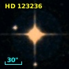 HD 123236