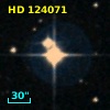 HD 124071