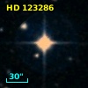 HD 123286