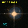 HD 123983