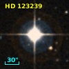 HD 123239