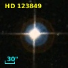 HD 123849