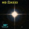 HD 124333