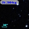 SN 2004cg