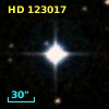 HD 123017