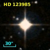 HD 123985