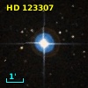HD 123307