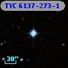 TYC 6137-273-1