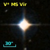 V* MS Vir