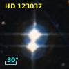 HD 123037