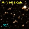 V* V1636 Oph