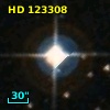 HD 123308