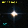 HD 123051