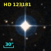 HD 123181