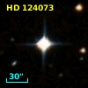 HD 124073
