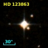 HD 123863