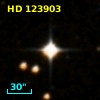 HD 123903