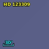 HD 123309