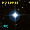 HD 124463