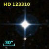 HD 123310