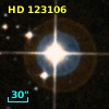 HD 123106