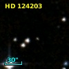 HD 124203