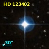 HD 123402