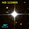 HD 123905
