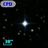 CPD-24  5254