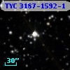 TYC 3187-1592-1