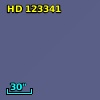 HD 123341