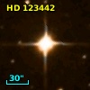 HD 123442