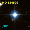 HD 124502
