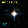 HD 123109