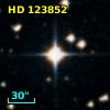 HD 123852