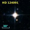 HD 124091
