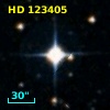 HD 123405
