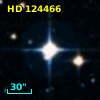 HD 124466