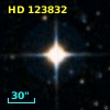 HD 123832