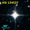 HD 124537