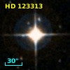 HD 123313