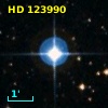 HD 123990