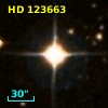 HD 123663