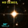 HD 123833