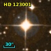 HD 123001