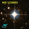 HD 123603