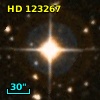 HD 123267