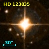 HD 123835